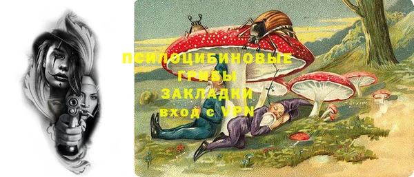мдма Белокуриха