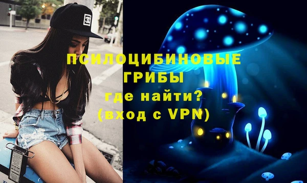 PSILOCYBIN Беломорск